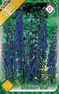 aconitum