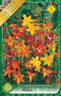 crocosmia-mix