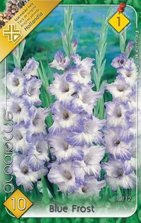 Blue-Frost