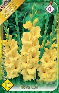 Nova-Lux