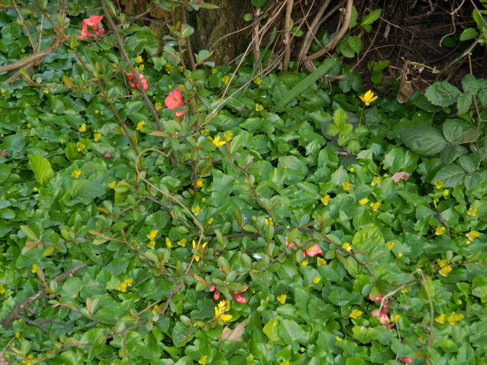 DSCN1724 - 2016 MARTIE 3