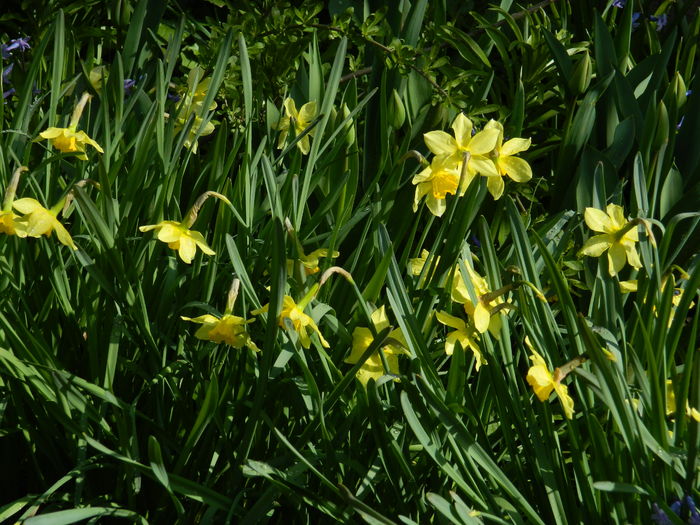 DSCN2689 - 2016 MARTIE 3