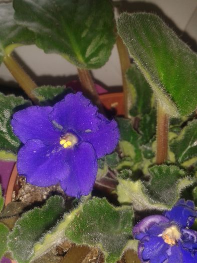 20160326_111456