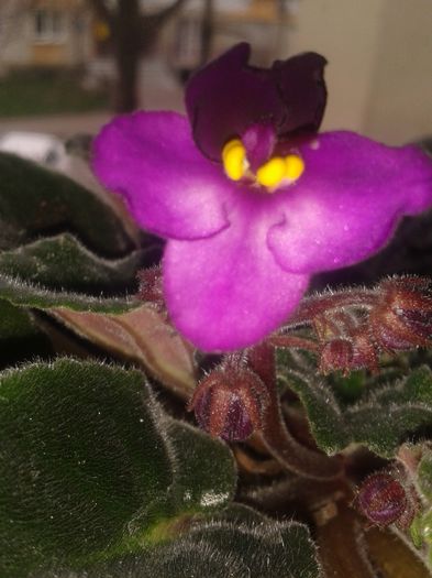 20160326_111555