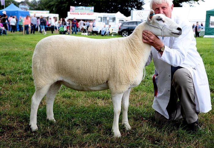La un concurs cu oita