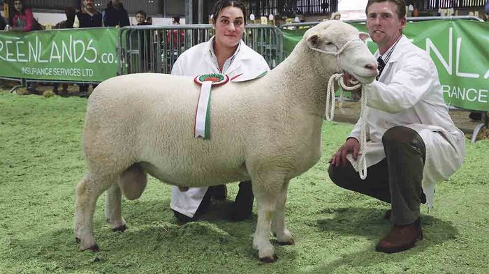 Rasa Herefordshire frumos