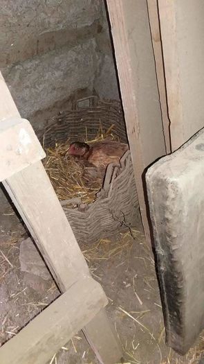 received_1054546634615350