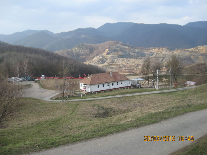 a lui Rosia Montana Gold Corporation