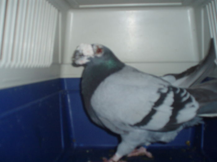 P1014551