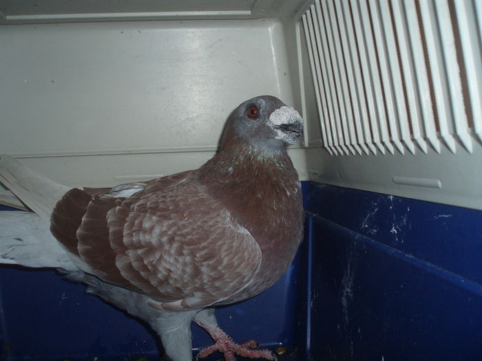P1014563