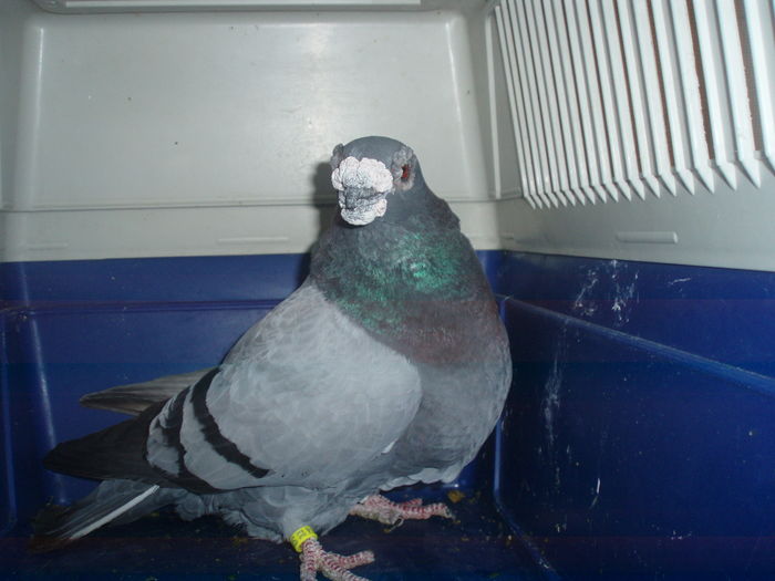 P1014573