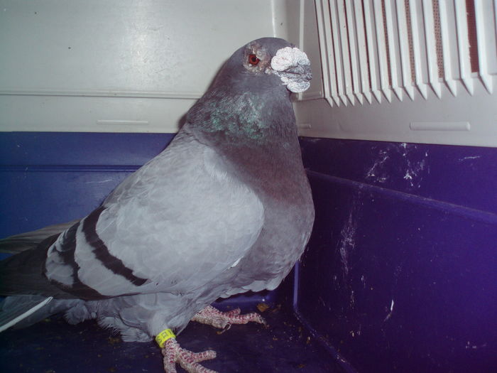 P1014574