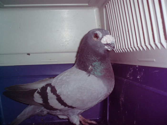 P1014582