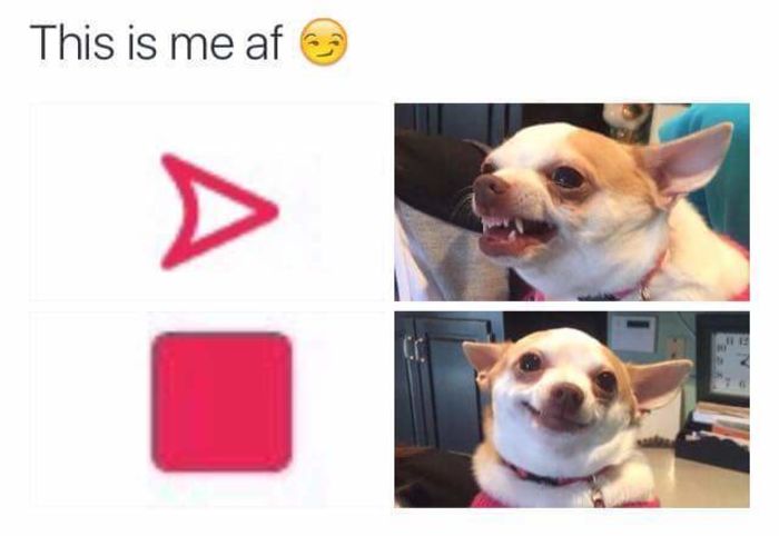  - x i m givin up on u