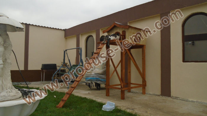 DSC00633