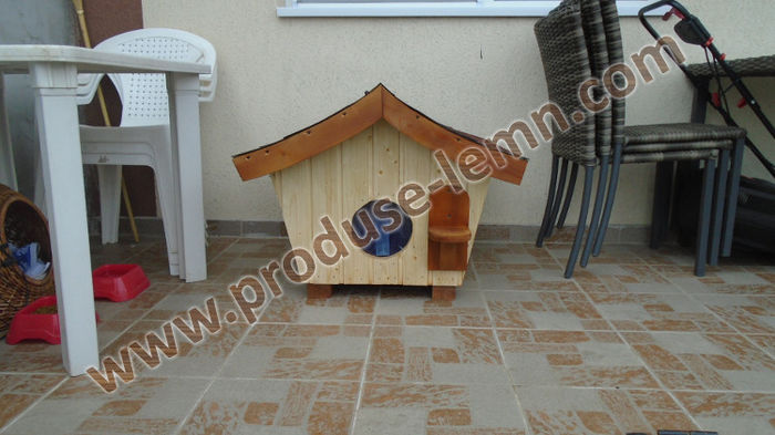 DSC00636