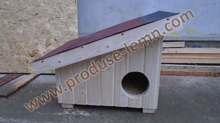 DSC00657
