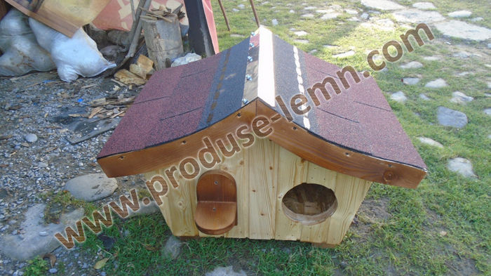 DSC00725