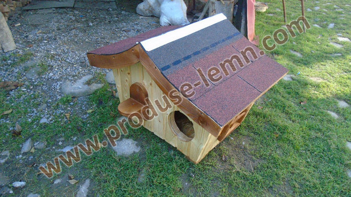 DSC00726