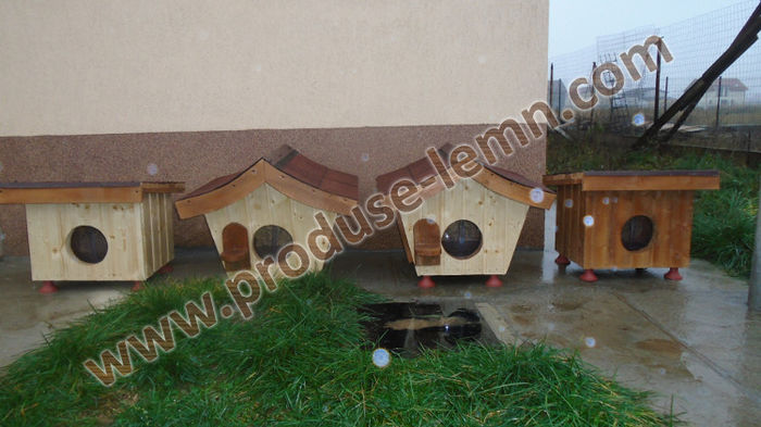 DSC00835