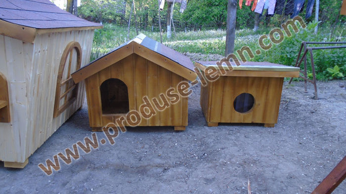 DSC09770