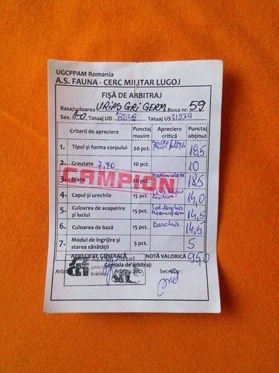 Campion Rasa 95 Puncte !!!