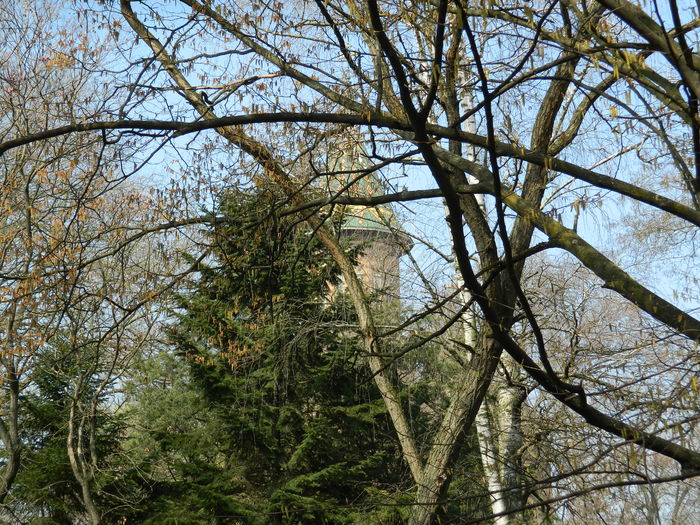 DSCN1822 - 2016 TIMISOARA_PRIMAVARA