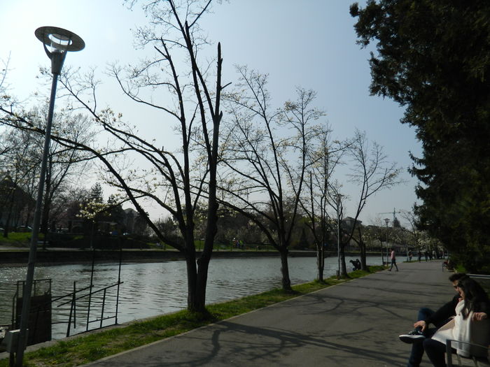 DSCN1838 - 2016 TIMISOARA_PRIMAVARA