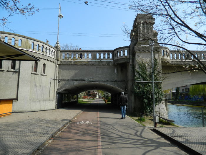DSCN1844 - 2016 TIMISOARA_PRIMAVARA