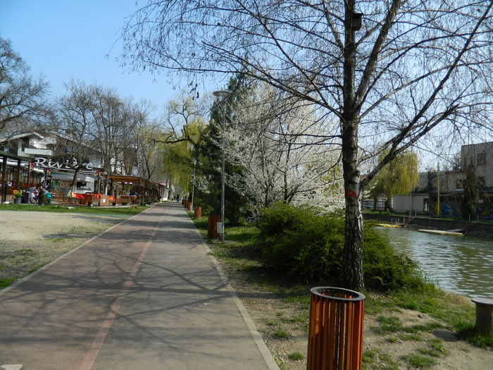 DSCN1846 - 2016 TIMISOARA_PRIMAVARA