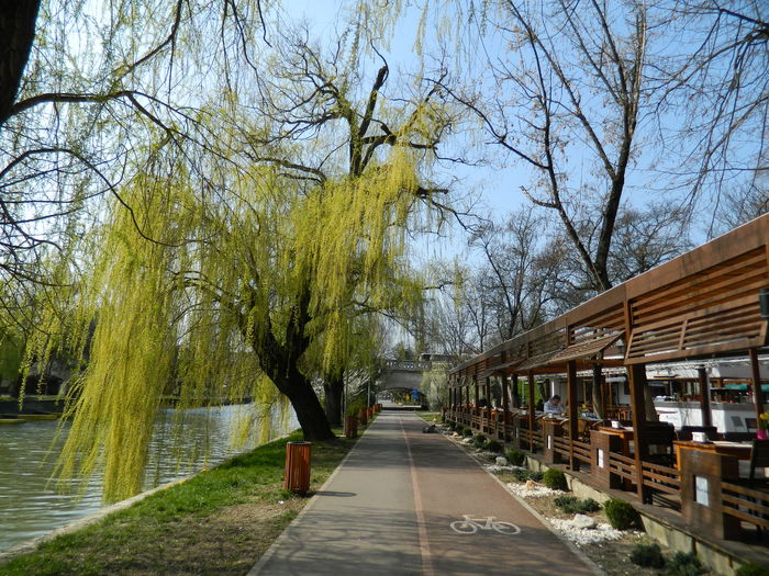 DSCN1860 - 2016 TIMISOARA_PRIMAVARA