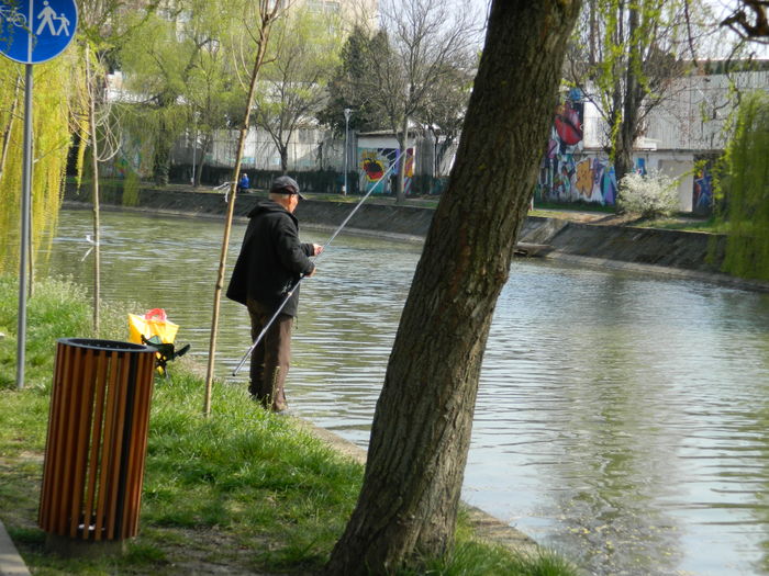 DSCN1862 - 2016 TIMISOARA_PRIMAVARA