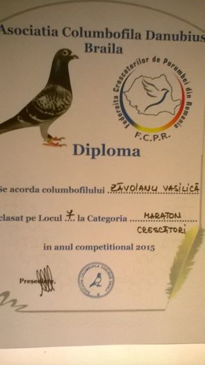 WP_20160328_20_30_16_Pro