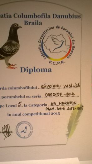 WP_20160328_20_30_39_Pro