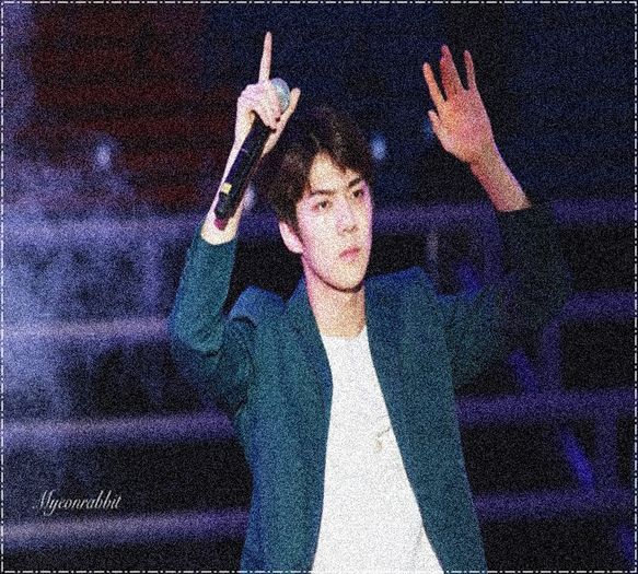 ╳ 219 days l 23.03.2016 ╳