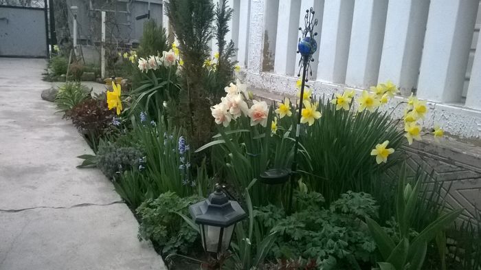 WP_20160328_008