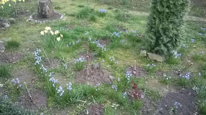 WP_20160328_010