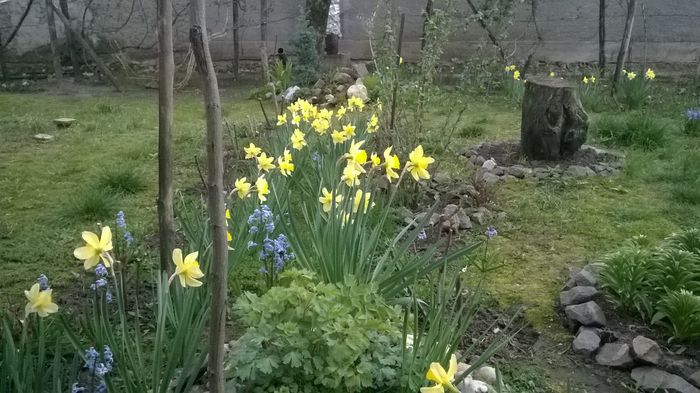 WP_20160328_015