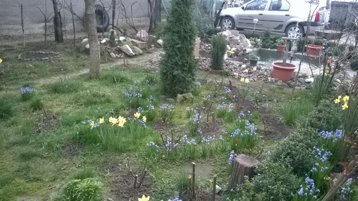 WP_20160328_016