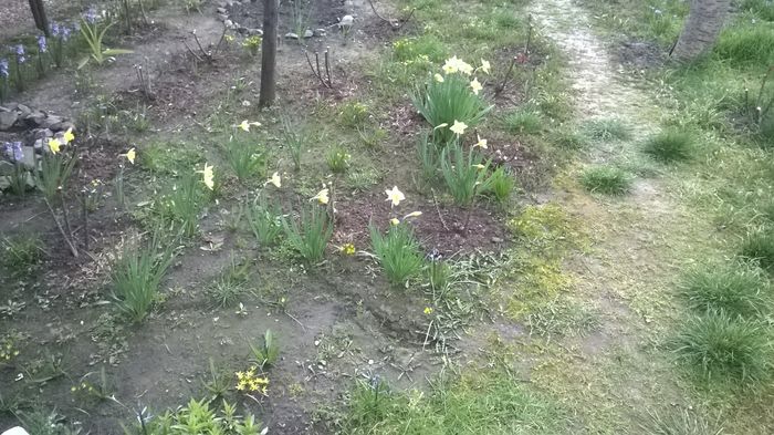 WP_20160328_018