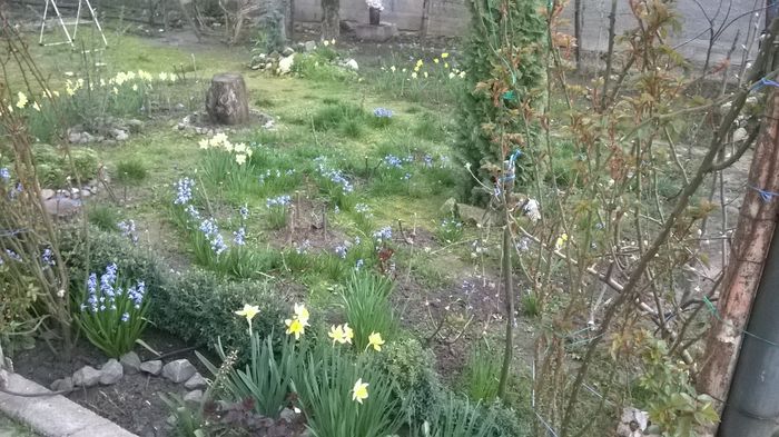 WP_20160328_022