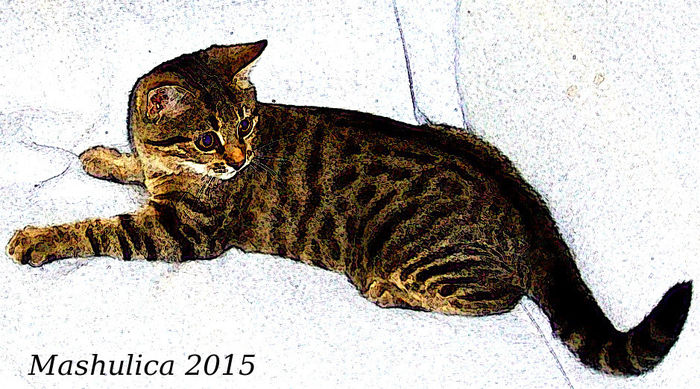 mashulica 2015 pictura - In memoriam Mashulica Tigratul 2014-21mar2016