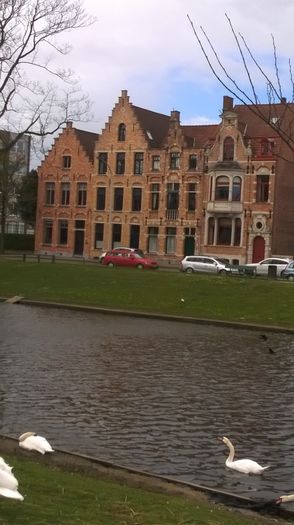 lacul lebedelor bruj - Concediu Belgia