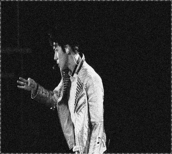 ╳ 225 days l 29.03.2016 ╳