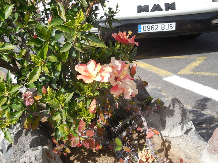 DSCN0227