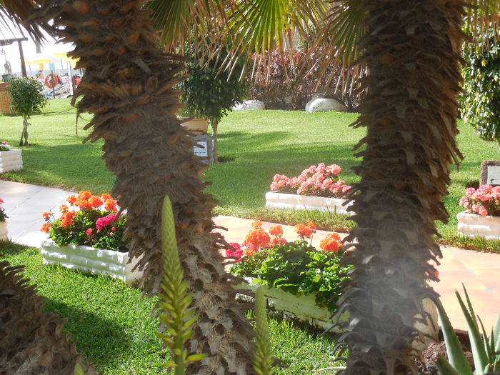 DSCN0354