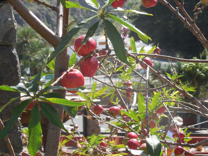 DSCN0383