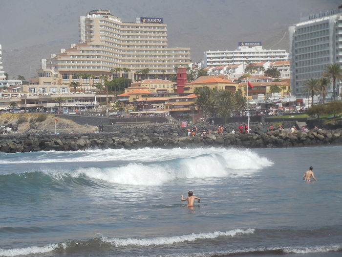 DSCN0350 - Tenerife martie 2016