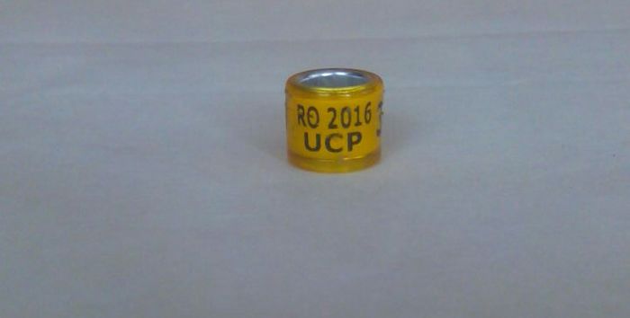 RO UCP 2016 GOLD