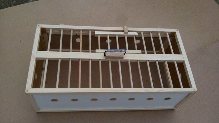 12895312_212165535815411_1172797816_n